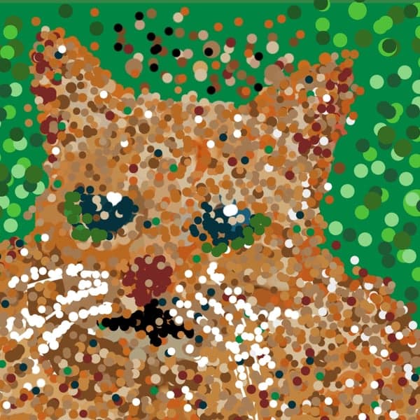 Dot Cat