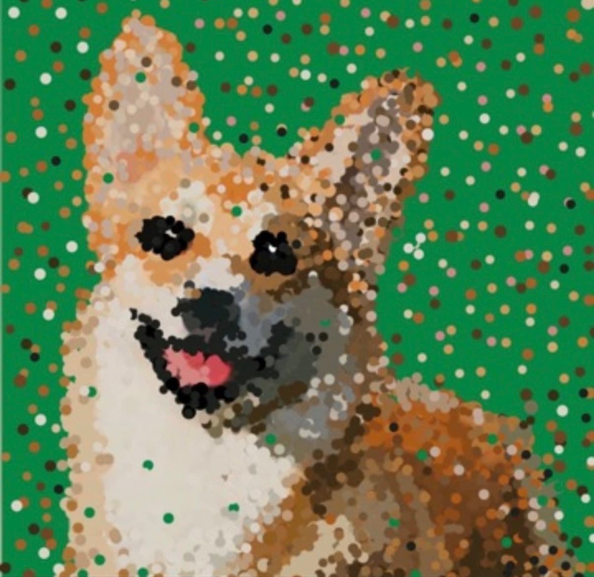 Dot Corgi